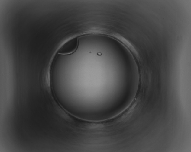 X0000100911238200806241306