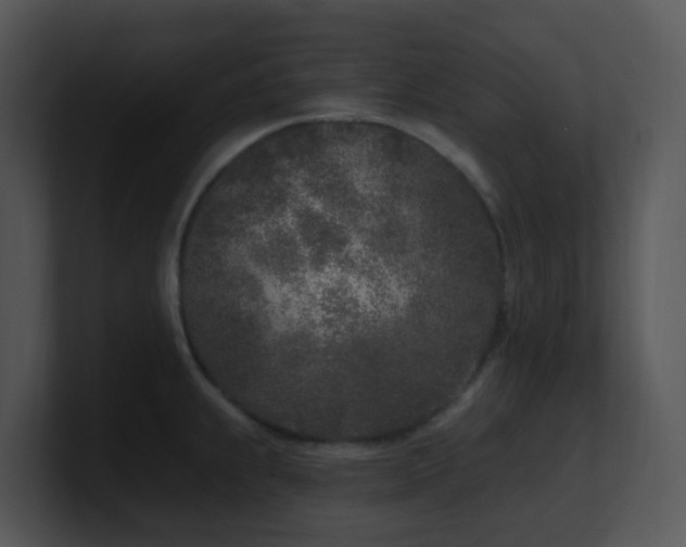 X0000100911239200806241306