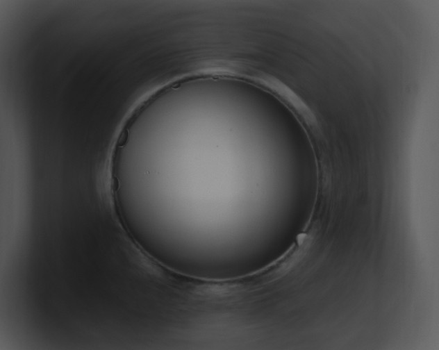 X0000100911240200806241306
