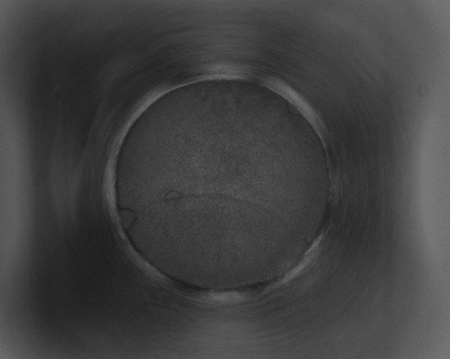 X0000100911243200806241306