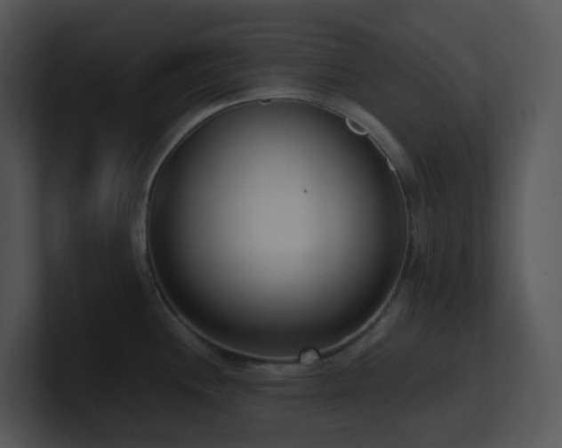 X0000100911244200806241306