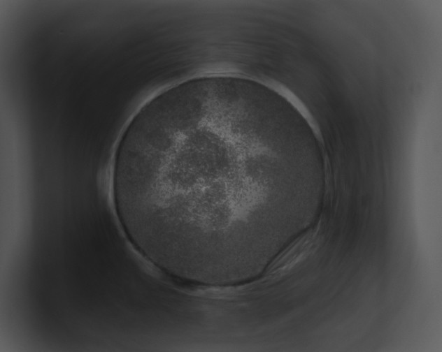 X0000100911245200806241306