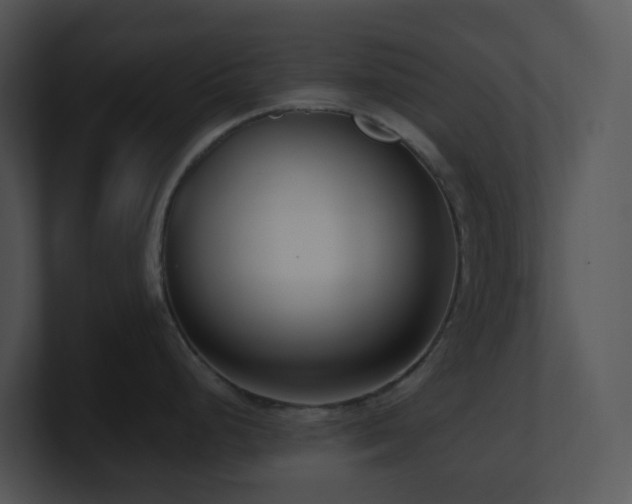 X0000100911248200806241306