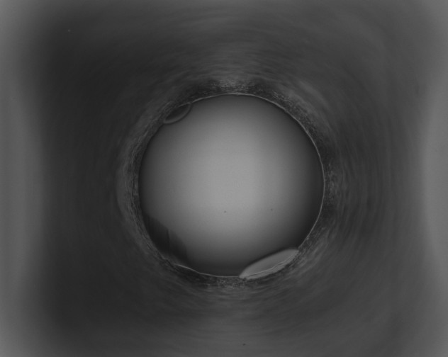 X0000100911249200806241306