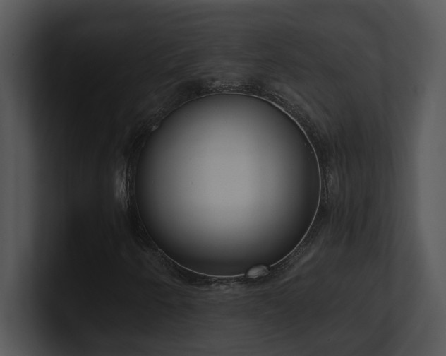 X0000100911250200806241306