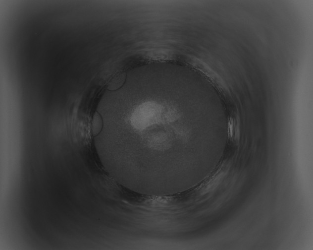 X0000100911251200806241306