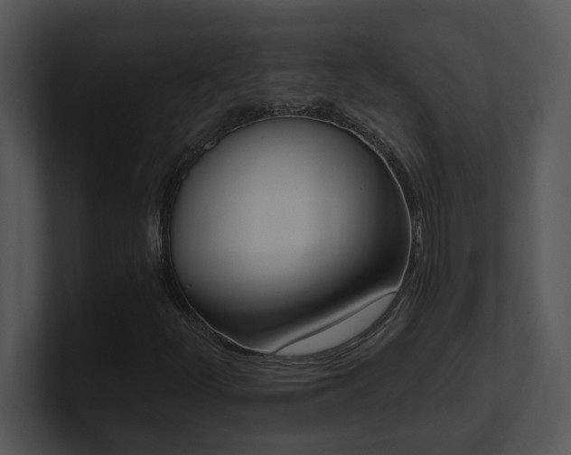 X0000100911252200806241306