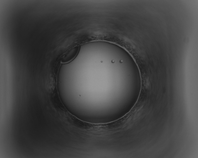 X0000100911253200806241306