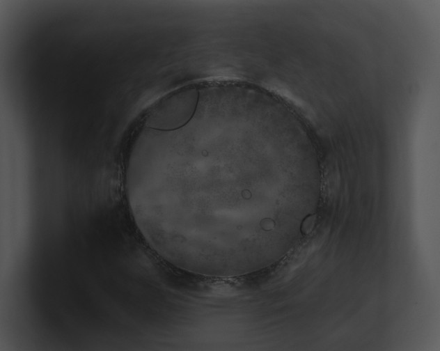 X0000100911255200806241306