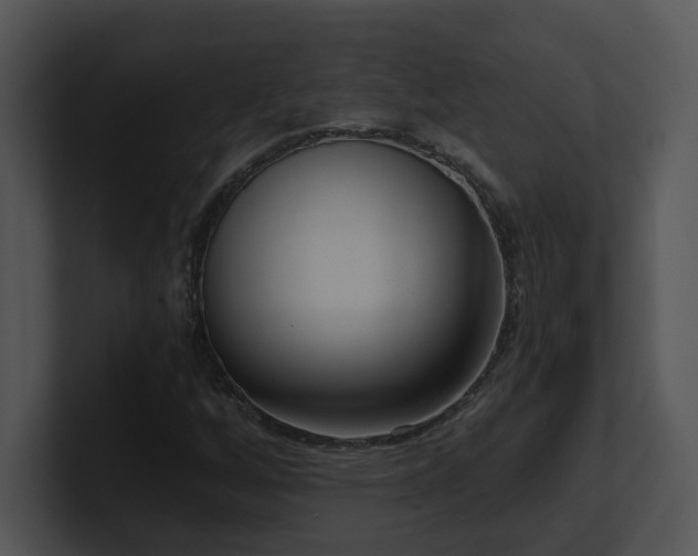 X0000100911256200806241306