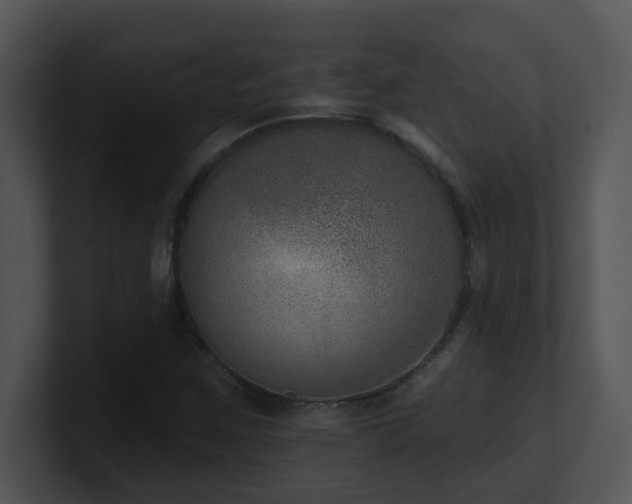 X0000100911259200806241306