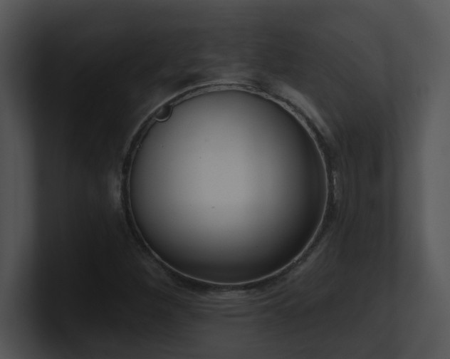 X0000100911260200806241306