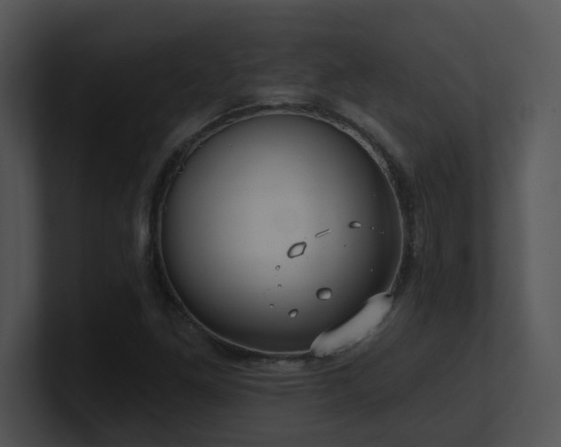 X0000100911261200806241306