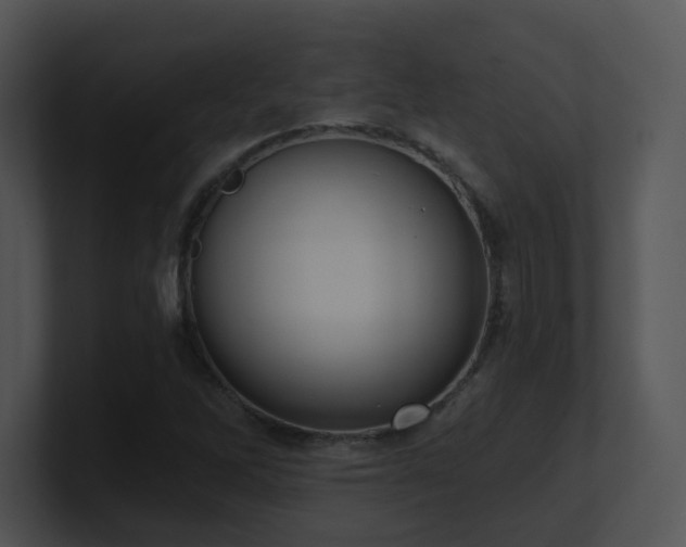 X0000100911262200806241306