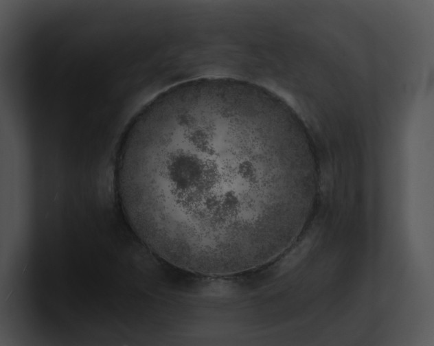 X0000100911263200806241305