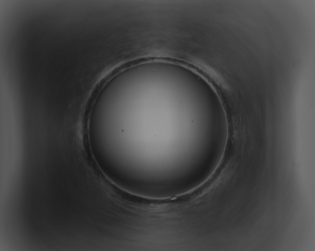 X0000100911264200806241305