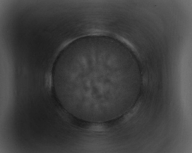 X0000100911267200806241305