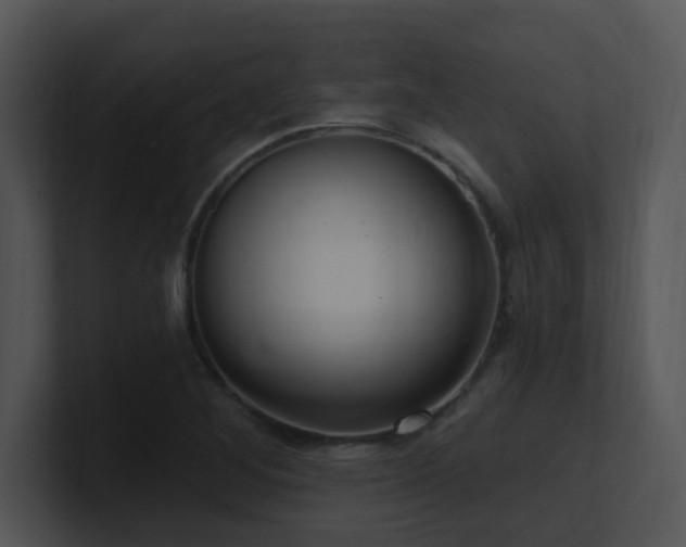 X0000100911268200806241305