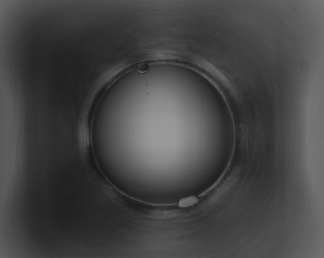 X0000100911269200806241305