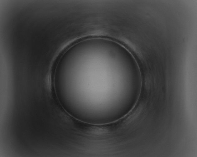 X0000100911270200806241305