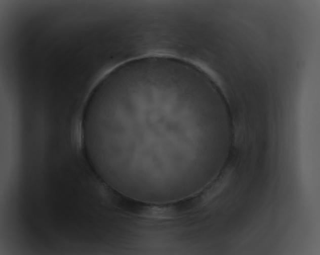 X0000100911271200806241305