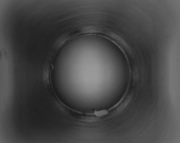 X0000100911273200806241305