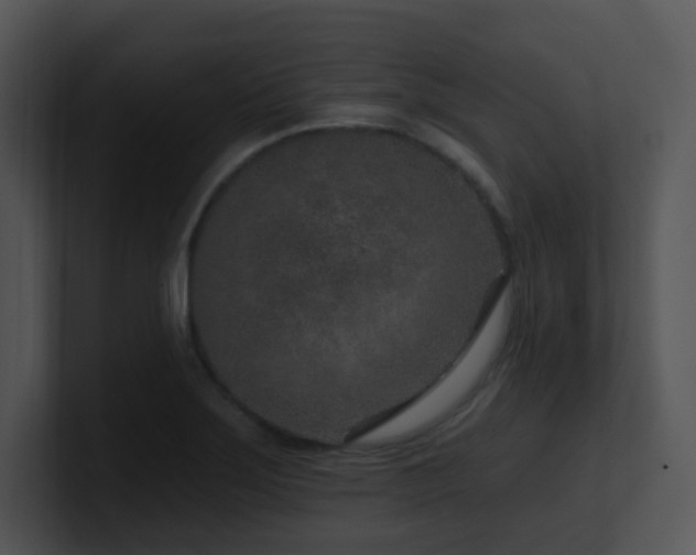 X0000100911275200806241305