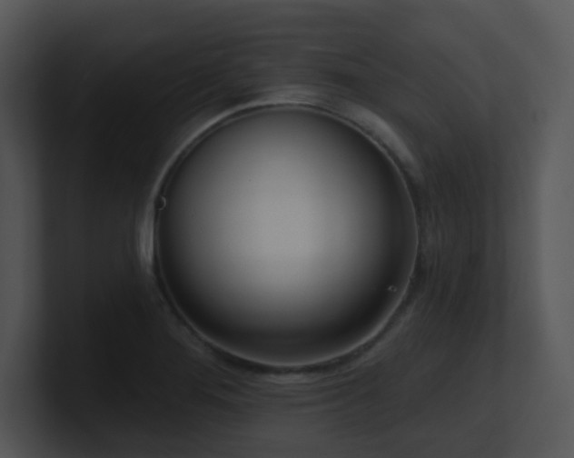 X0000100911276200806241305
