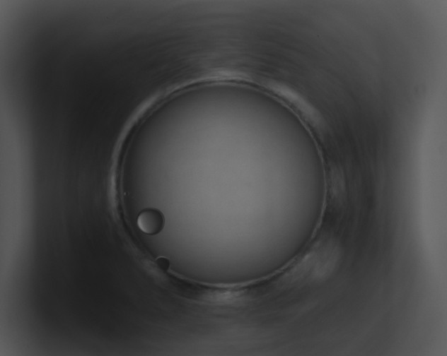 X0000100911278200806241305