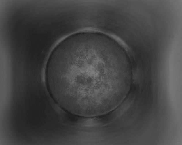 X0000100911279200806241305