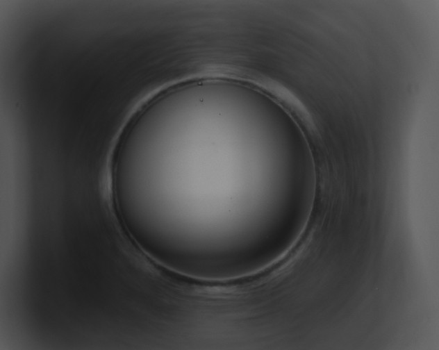X0000100911280200806241305