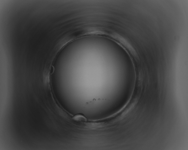 X0000100911281200806241305