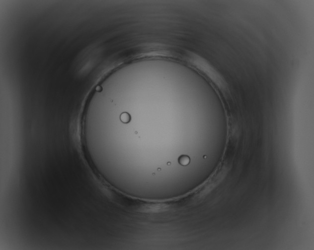 X0000100911282200806241305