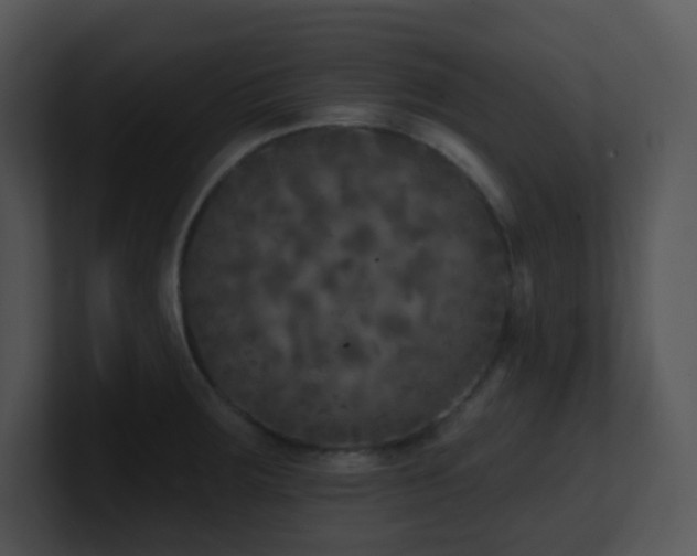 X0000100911283200806241305