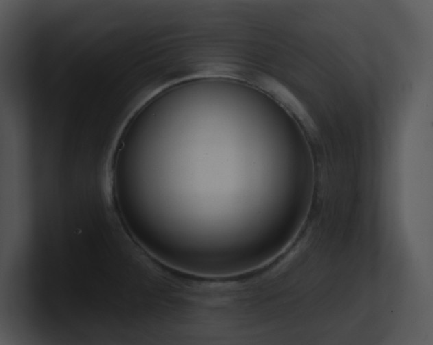 X0000100911284200806241305