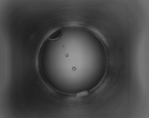 X0000100911285200806241305