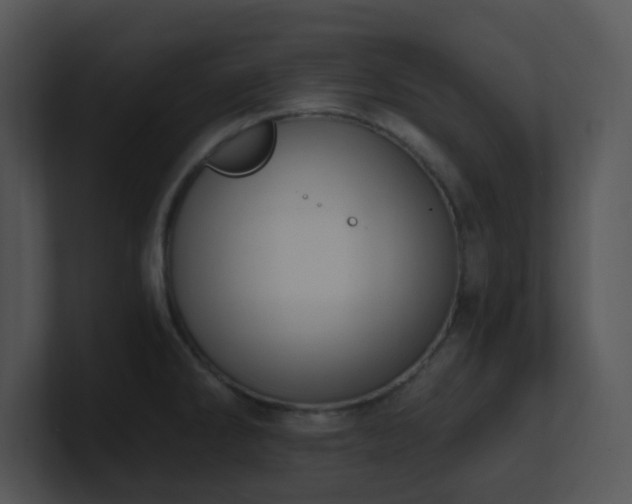 X0000100911286200806241305