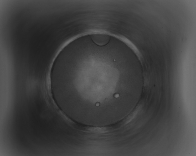 X0000100911287200806241305
