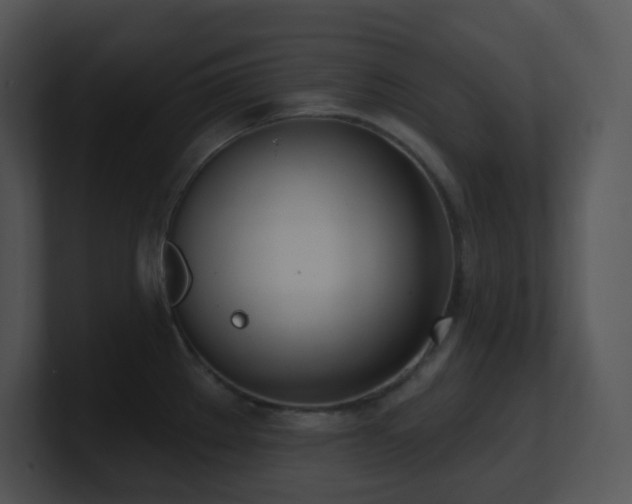 X0000100911289200806241305