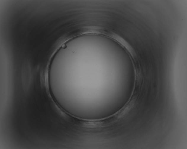 X0000100911290200806241305