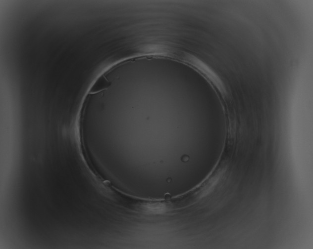 X0000100911291200806241305