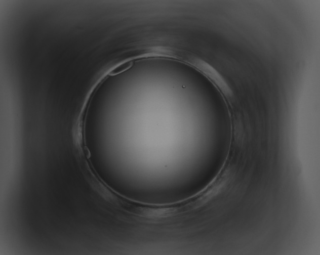 X0000100911292200806241305