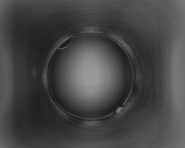 X0000100911293200806241305