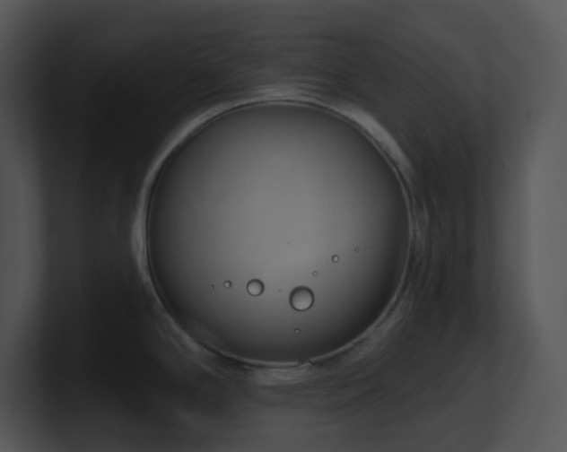 X0000100911294200806241305