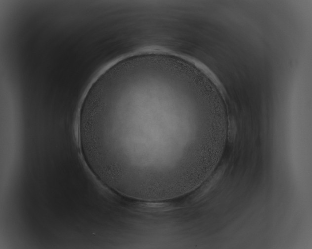 X0000100911295200806241305