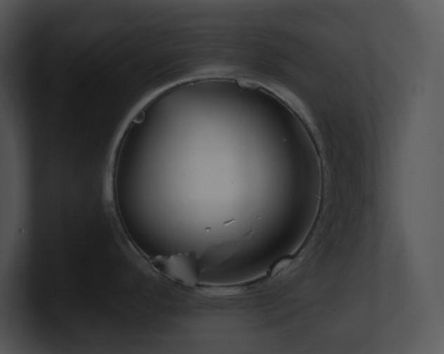 X0000100911296200806241305
