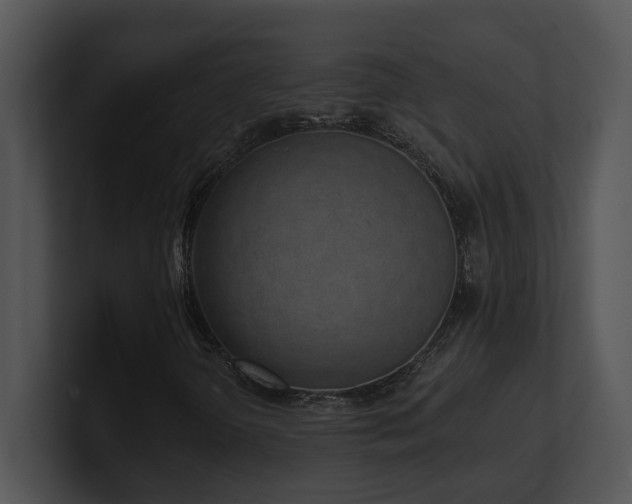 X0000100911298200806241304