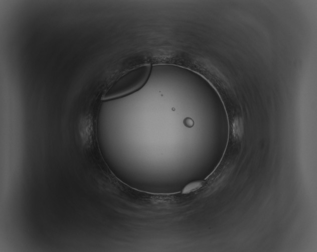 X0000100911299200806241304