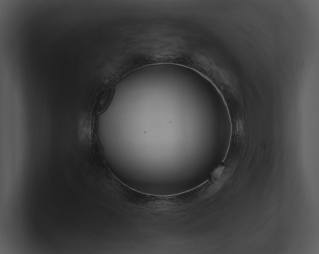 X0000100911300200806241304