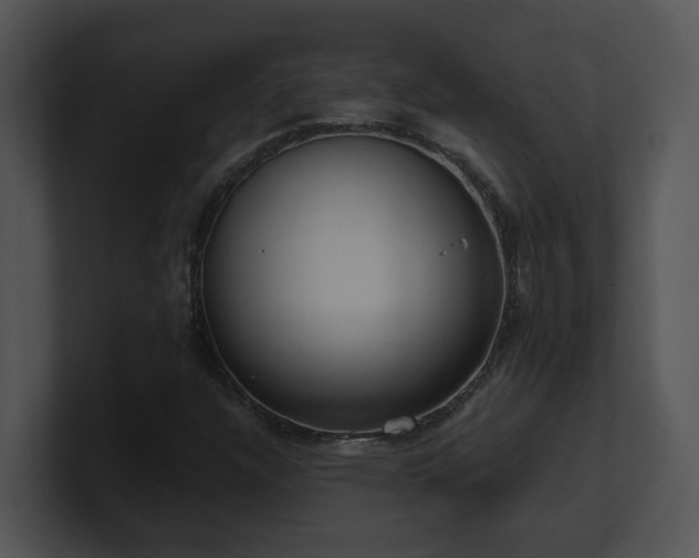 X0000100911304200806241305